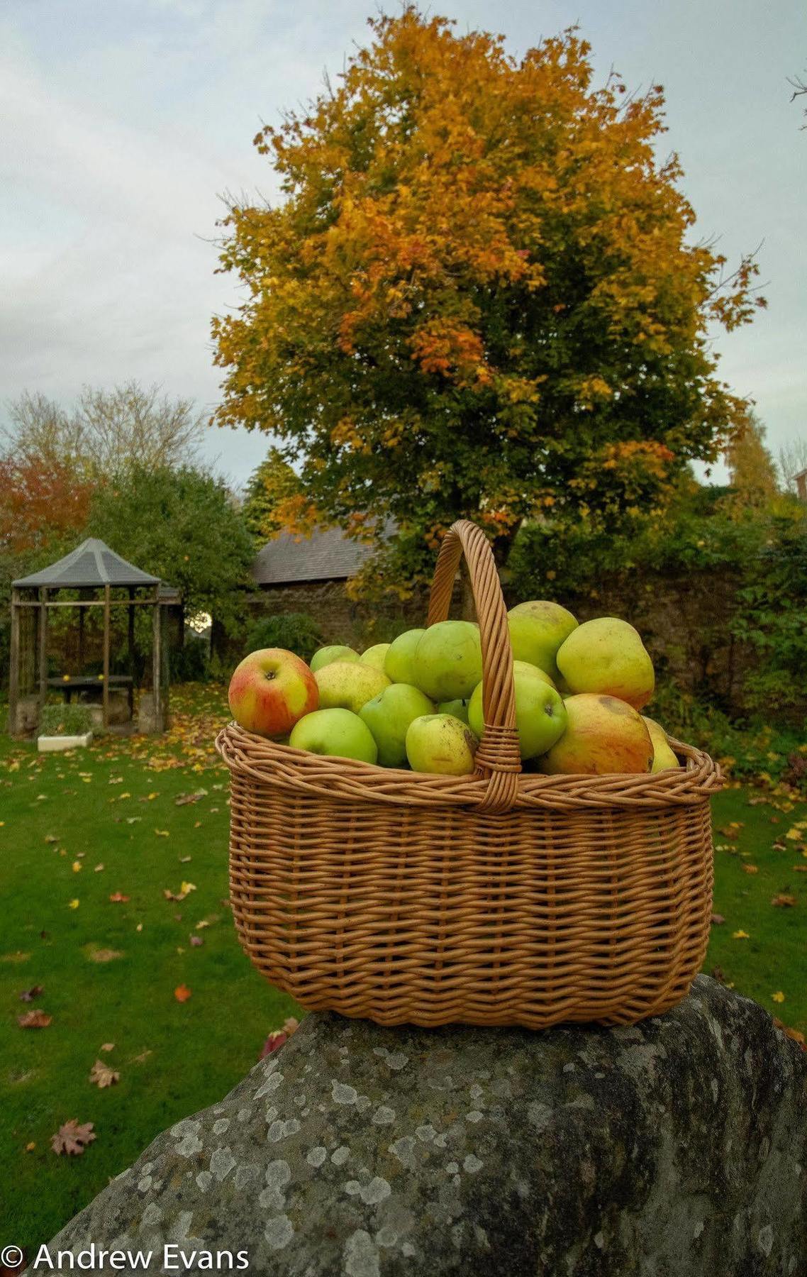Ross-on-Wye Lea House Bed And Breakfast المظهر الخارجي الصورة